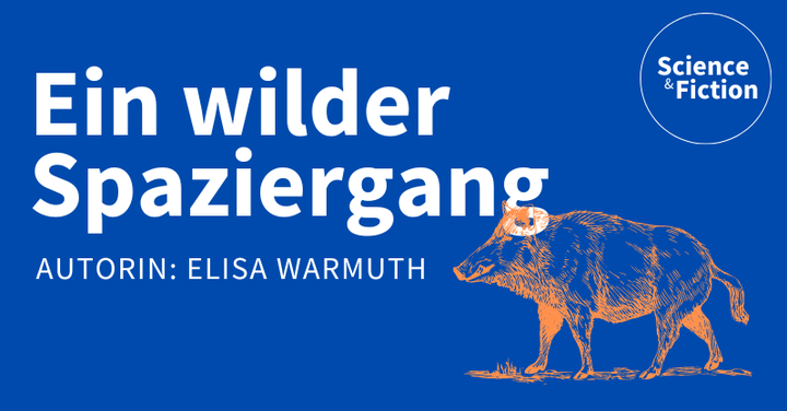 Ein Bild mit dem Titel der Geschichte "Ein wilder Spaziergang" und dem Namen der Autorin "Elisa Warmuth". Das Bild enthält auch das Logo von Science & Fiction und eine Grafik eines orangenen Wildschweins.