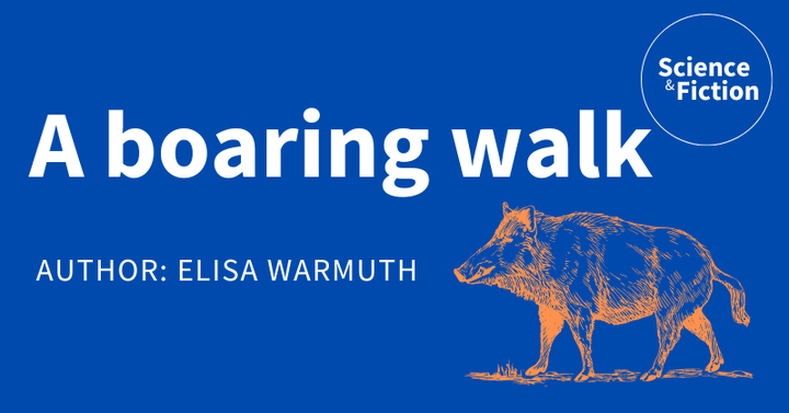 An image saying the title of the story "A boaring walk" and author "Elisa Warmuth". It also includes the logo of Science & Fiction and a picture of an orange wild boar.