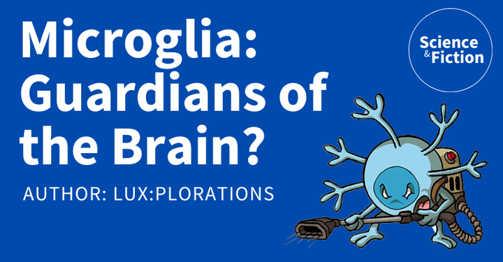 An image saying the title of the story "Microglia, Guardians of the Brain?" and author "LUX:plorations". It also includes the logo of Science & Fiction and a picture of a microglial cell.